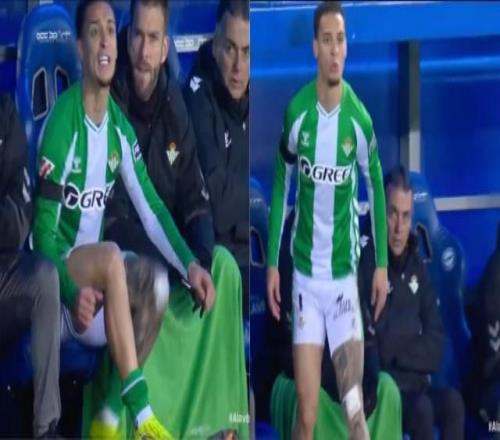 大乐透期号,专家推荐,凤凰主场质,博鱼体育官网,博鱼体育app,博鱼体育APP下载